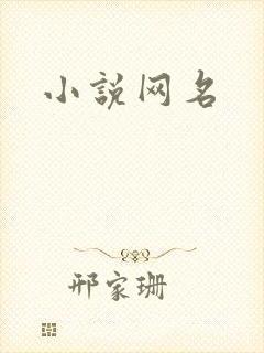 小说网名