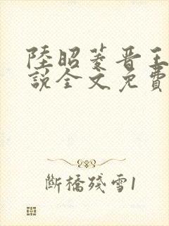 陆昭菱晋王的小说全文免费阅读