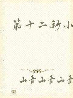 第十二秒小说封面