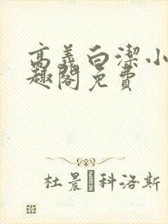 高义白洁小说笔趣阁免费