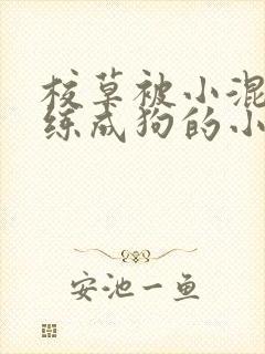 校草被小混混训练成狗的小说