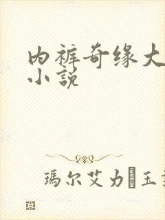 内裤奇缘大团结小说