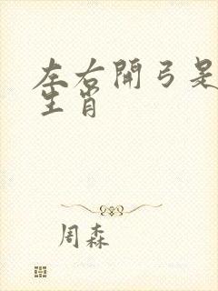 左右开弓是什么生肖封面