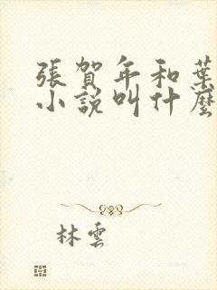 张贺年和叶繁姿小说叫什么名字