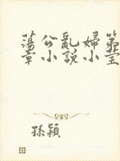 荡公乱妇第51章小说小莹