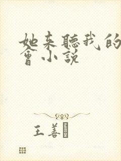 她来听我的演唱会小说