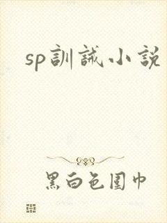 sp训诫小说