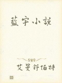 蓝宇小说