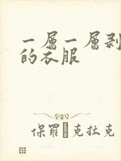 一层一层剥开我的衣服