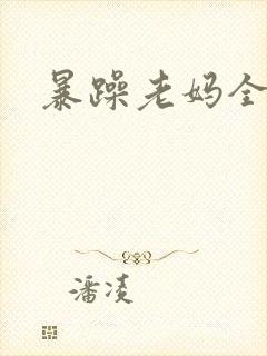 暴躁老妈全集封面