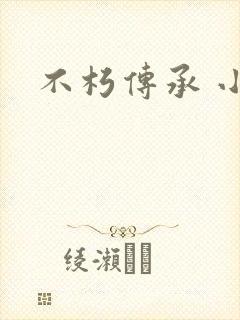 不朽传承 小说封面