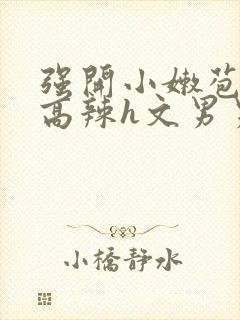 强开小嫩苞h文高辣h文男男封面