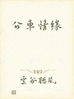 公车情缘