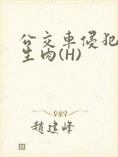 公交车侵犯小男生肉(H)