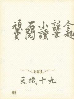 顽石小说全文免费阅读笔趣阁