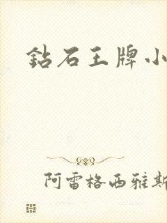 钻石王牌小说封面