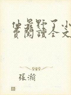 他最野了小说免费阅读全文封面