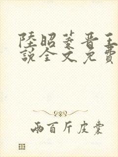 陆昭菱晋王的小说全文免费阅读