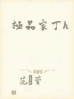 极品家丁h封面