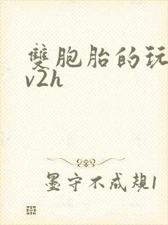 双胞胎的玩具1v2h