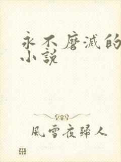 永不磨灭的番号小说
