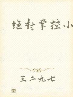 绝对掌控小说