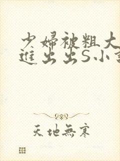 少妇被粗大猛进进出出S小说封面