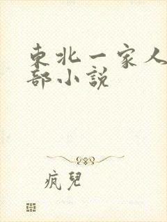 东北一家人第一部小说封面