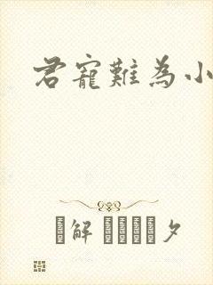 君宠难为小说封面