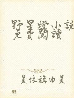 野星灯小说全文免费阅读封面