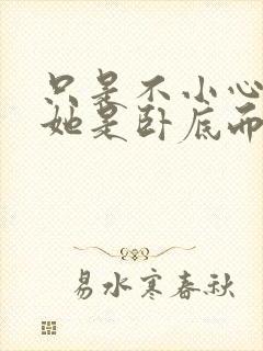 只是不小心发现她是卧底而已