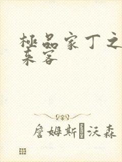 极品家丁之远方来客