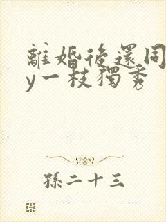 离婚后还同居by一枝独秀封面