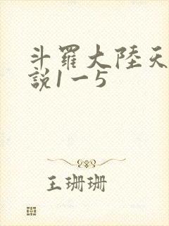 斗罗大陆天狂传说1一5