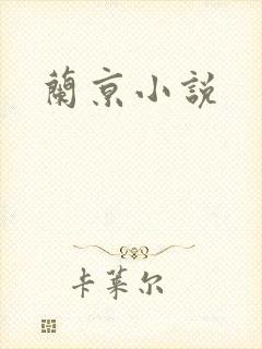 兰京小说