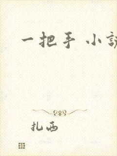 一把手 小说