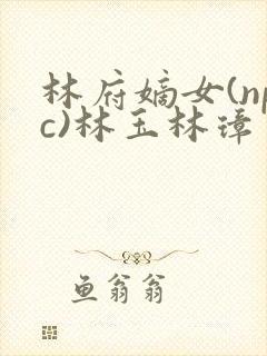 林府嫡女(npc)林玉林璋