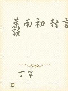 叶南初 封言小说封面