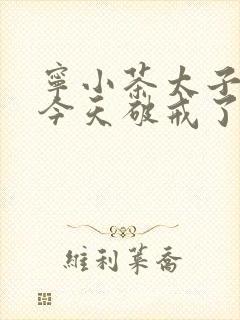 宁小茶太子殿下今天破戒了吗免费阅读