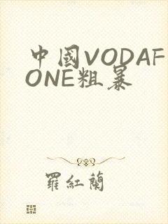 中国VODAFONE粗暴