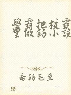 学霸把校霸往死里做的小说