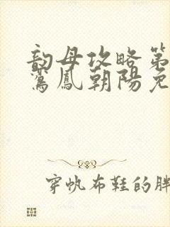 韵母攻略第二部鸾凤朝阳免费阅读