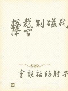 总裁别碰我 韩降雪