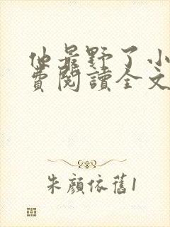 他最野了小说免费阅读全文