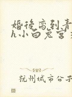 婚后脔到青梅哭h小白兔宫交h