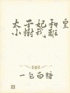 太子妃和皇上在小树我离封面