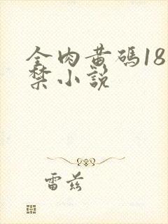 全肉黄码18无禁小说封面