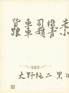 货车司机老周和跟车赵青小明封面