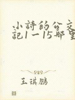 小诗的公交车日记1一15哪里能看