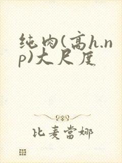 纯肉(高h.np)大尺度